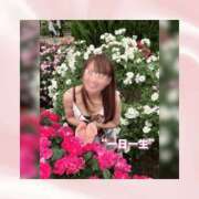 ヒメ日記 2026/05/31 12:07 投稿 ひなの ハピネス東京