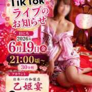 ヒメ日記 2026/06/19 05:27 投稿 ひなの ハピネス東京