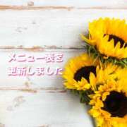 ヒメ日記 2026/07/01 19:37 投稿 ひなの ハピネス東京