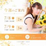 ヒメ日記 2026/07/08 05:27 投稿 ひなの ハピネス東京