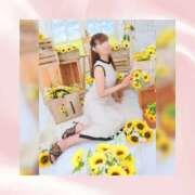 ひなの ひなのの押し🧸💕 ハピネス東京