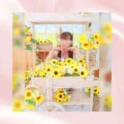 ヒメ日記 2026/08/07 08:07 投稿 ひなの ハピネス東京