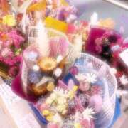 ヒメ日記 2025/04/06 06:20 投稿 るなぴ 五反田サンキュー