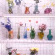 ヒメ日記 2025/04/28 01:50 投稿 るなぴ 五反田サンキュー