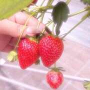 ヒメ日記 2025/05/18 03:50 投稿 るなぴ 五反田サンキュー