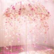 ヒメ日記 2025/06/15 06:20 投稿 るなぴ 五反田サンキュー