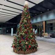 ヒメ日記 2025/12/19 22:29 投稿 るなぴ 五反田サンキュー