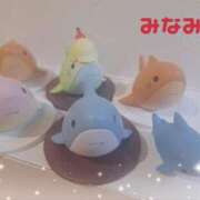 ヒメ日記 2025/03/19 01:25 投稿 みなみ 横浜熟女MAX