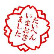 ヒメ日記 2025/05/09 10:06 投稿 みなみ 横浜熟女MAX