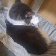 ヒメ日記 2025/07/23 23:35 投稿 みなみ 横浜熟女MAX