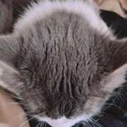 ヒメ日記 2025/10/08 00:45 投稿 みなみ 横浜熟女MAX