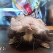 ヒメ日記 2025/10/12 20:05 投稿 みなみ 横浜熟女MAX