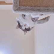 ヒメ日記 2025/11/01 23:15 投稿 みなみ 横浜熟女MAX