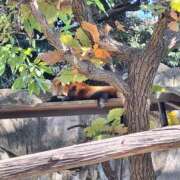 ヒメ日記 2025/11/27 22:45 投稿 みなみ 横浜熟女MAX