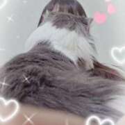 ヒメ日記 2025/12/12 22:46 投稿 みなみ 横浜熟女MAX