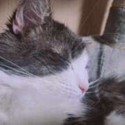 ヒメ日記 2026/04/09 23:45 投稿 みなみ 横浜熟女MAX