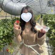 ヒメ日記 2025/03/24 15:51 投稿 みなと ビギナーズ東京