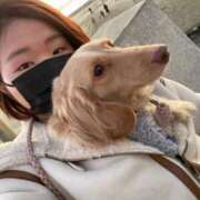 ヒメ日記 2025/02/16 02:05 投稿 ことね ぷるるんギャング