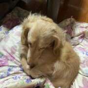 ヒメ日記 2025/02/18 19:19 投稿 ことね ぷるるんギャング