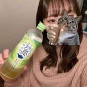 ヒメ日記 2025/02/08 23:50 投稿 ふうか アムールクリスタル