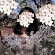 ヒメ日記 2025/04/16 17:55 投稿 ほしの 大宮ウィング