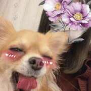 ヒメ日記 2025/04/16 23:25 投稿 ほしの 大宮ウィング