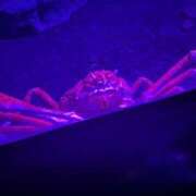 ヒメ日記 2025/05/04 09:25 投稿 ほしの 大宮ウィング