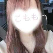 ヒメ日記 2026/01/25 04:50 投稿 こもも 京都出張メンズエステChou Chou（シュシュ)