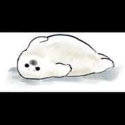 ヒメ日記 2026/02/11 15:20 投稿 こもも 京都出張メンズエステChou Chou（シュシュ)