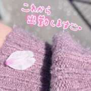 ヒメ日記 2025/04/09 10:07 投稿 はな ぼくらのデリヘルランドin久喜店