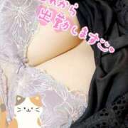 ヒメ日記 2025/11/25 07:06 投稿 はな ぼくらのデリヘルランドin久喜店