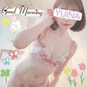 ヒメ日記 2025/03/21 09:19 投稿 真白 ゆいな カサノヴァ