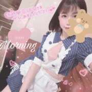 ヒメ日記 2026/07/08 09:19 投稿 真白 ゆいな カサノヴァ