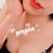 ヒメ日記 2025/02/22 17:19 投稿 アマネ AMOUR（アムール）