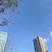 ヒメ日記 2025/03/09 15:53 投稿 アマネ AMOUR（アムール）