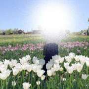 ヒメ日記 2025/04/24 19:21 投稿 アマネ AMOUR（アムール）