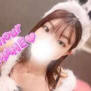 ヒメ日記 2025/10/15 19:00 投稿 アマネ AMOUR（アムール）