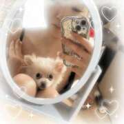 ヒメ日記 2025/12/10 08:23 投稿 アマネ AMOUR（アムール）