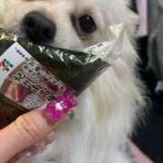 ヒメ日記 2026/02/05 09:11 投稿 アマネ AMOUR（アムール）