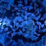 ヒメ日記 2026/03/07 19:44 投稿 アマネ AMOUR（アムール）