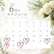 来海(くるみ) ６月の残りと７月予定のスケジュール🦈⁎* Chaleur (シャルール)