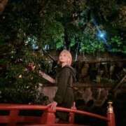 ヒメ日記 2025/05/12 15:53 投稿 最上りんく BLENDA V.I.P東京店