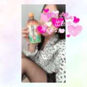 ヒメ日記 2025/02/13 10:45 投稿 ひなた 木更津人妻花壇