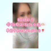 ヒメ日記 2025/04/09 08:45 投稿 ひなた 木更津人妻花壇