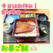 ヒメ日記 2025/04/13 12:38 投稿 ひなた 木更津人妻花壇