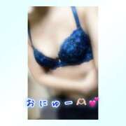 ヒメ日記 2025/04/19 08:45 投稿 ひなた 木更津人妻花壇