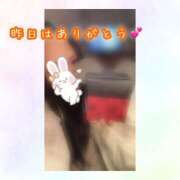 ヒメ日記 2025/04/29 15:55 投稿 ひなた 木更津人妻花壇