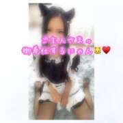 ヒメ日記 2025/05/29 10:28 投稿 ひなた 木更津人妻花壇