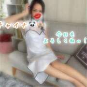 ひなた 白チャイナ🐼 木更津人妻花壇