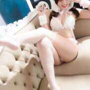 ヒメ日記 2025/04/14 08:30 投稿 そら ドンファン